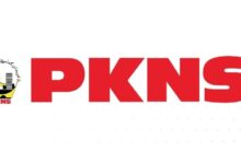 pkns