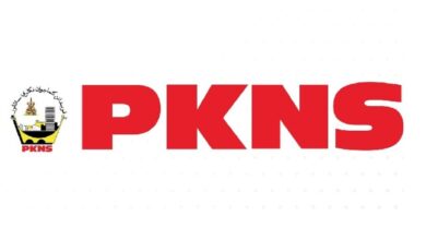 pkns