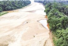 sungai pahang