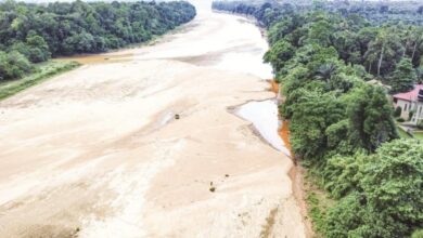 sungai pahang