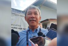 tok mat