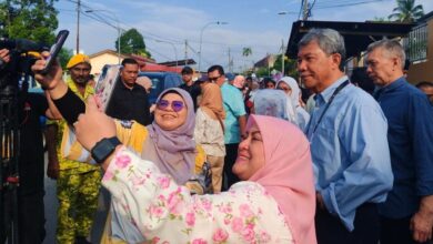 tok mat