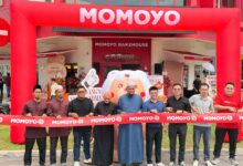 momoyo