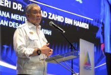 nadi