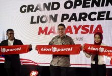 lion parcel