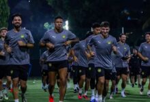 harimau malaya