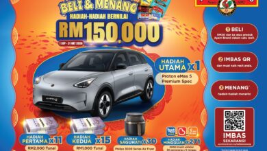 ayam brand