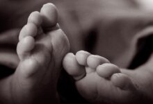 Kaki bayi