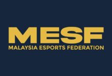 mesf
