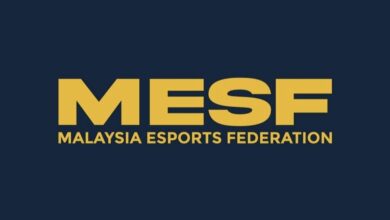 mesf