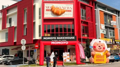 momoyo