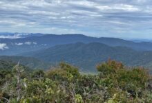 gunung