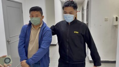 pemilik syarikat