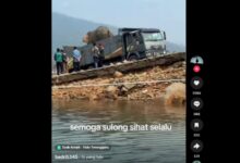 gajah