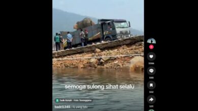 gajah