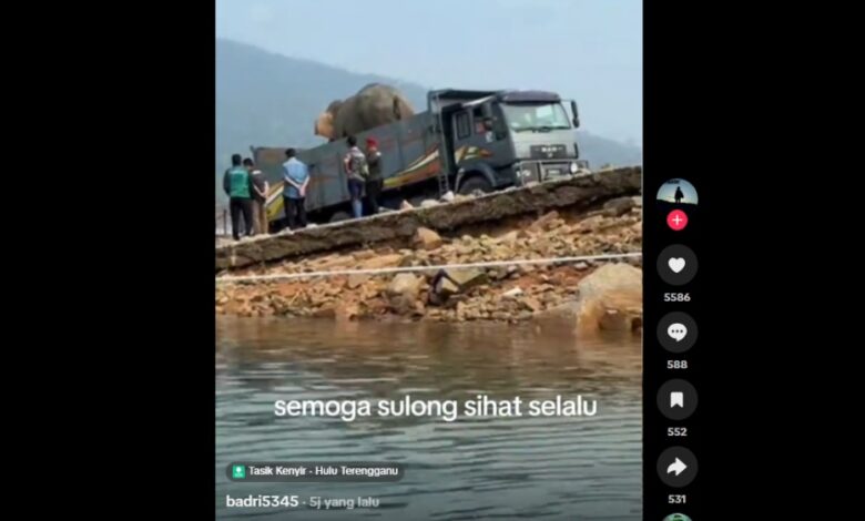 gajah