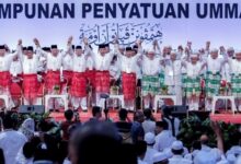 umno pas