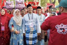 paya rumput