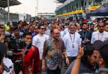 f1 pmx
