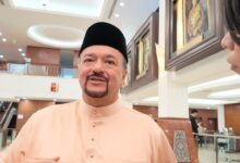 amir hamzah