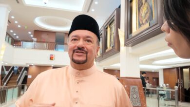 amir hamzah