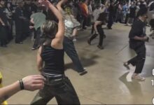 gig mosh