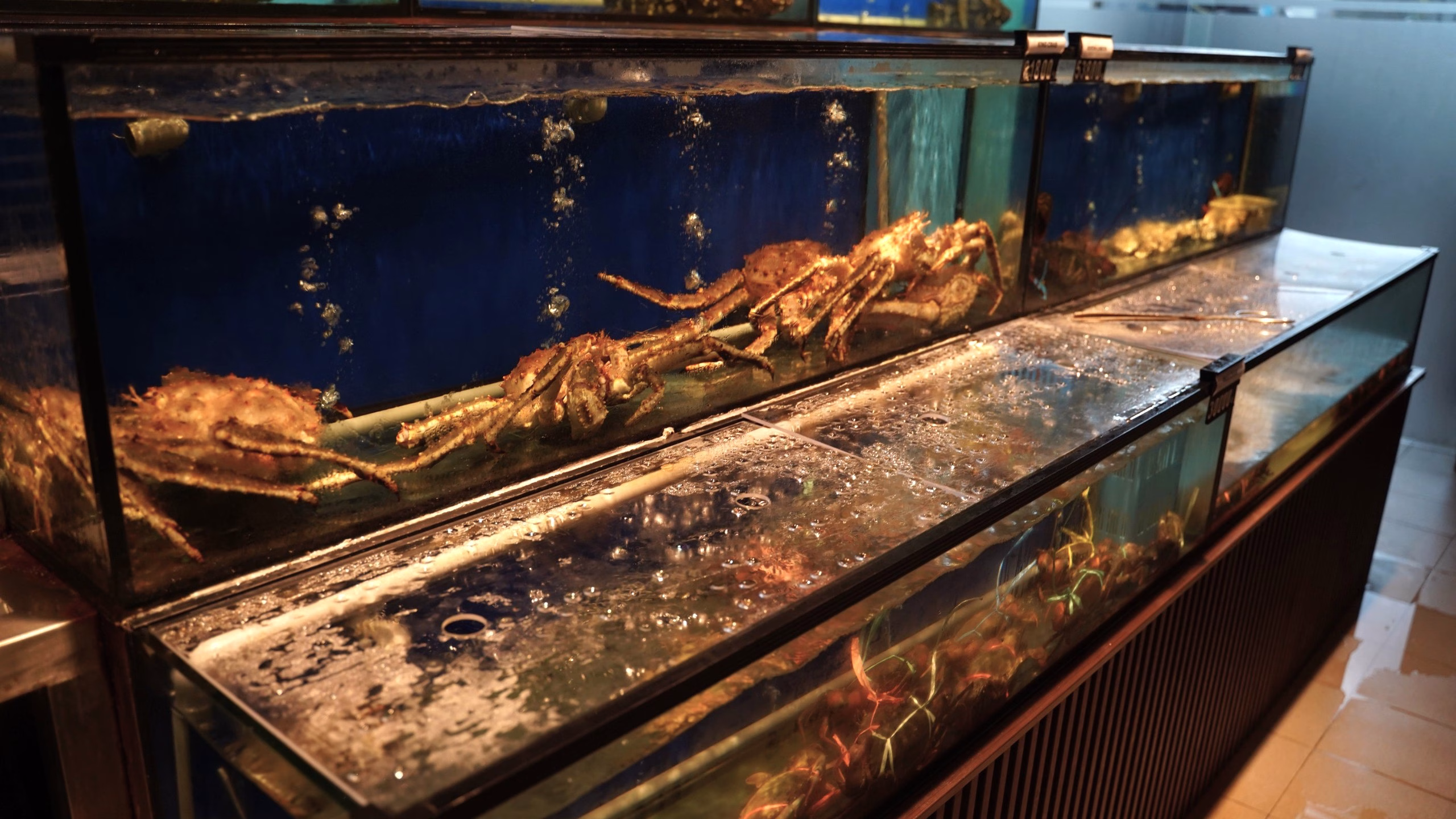 bayu seafood