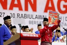 dana najib
