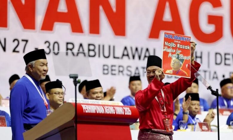 dana najib