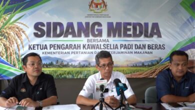 pesawah