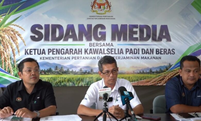 pesawah