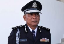 kp perlis