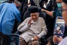 tun mahathir